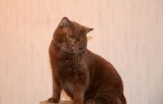 1 ��� 3 ������.