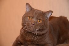 1 ��� 3 ������.