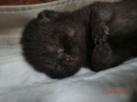 10 ���� �����.