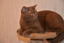 1 ��� 9 �������