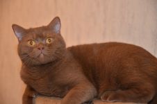 1 ��� 9 �������