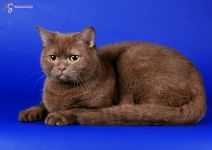 10 ��� 10 ����