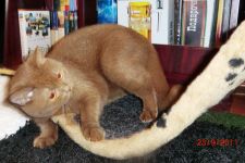 ��������� � 8 �������