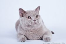 10 �������