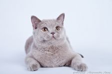 10 �������