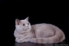 10 �������