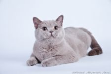 10 �������