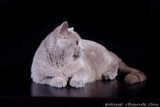 10 �������