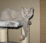 3 ������