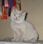 3 ������