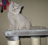 3 ������