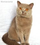 Ровно в 1 годик.