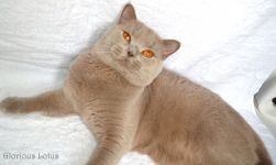 Ровно в 1 годик.