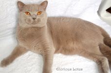 Ровно в 1 годик.