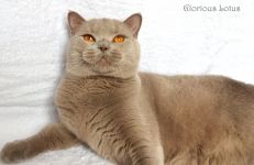 Ровно в 1 годик.