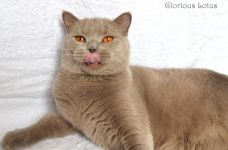 Ровно в 1 годик.