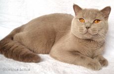 Ровно в 1 годик.