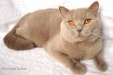 Ровно в 1 годик.