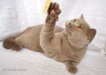 Ровно в 1 годик.