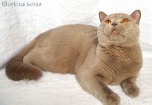 Ровно в 1 годик.