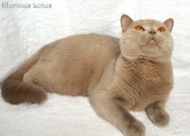 Ровно в 1 годик.