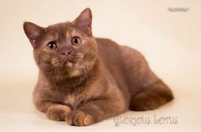 6 �������.