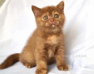 2,5 ������