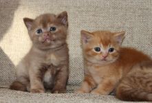 ����� �����. ��� ����� � ������ � �� ���������� � ����� ���������.