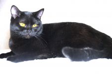 9 �������