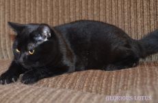 8 �������