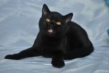 4 ������ 10 ����