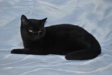 4 ������ 10 ����