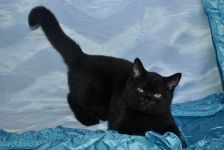 4 ������ 10 ����