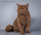 ������ 1 ��� � 2 ������