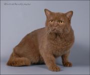 ������ 1 ��� � 2 ������