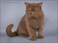 ������ 1 ��� � 2 ������