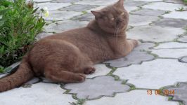 11 �������