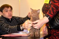 �� ����� �� ������ ��������. �������� ���������� �� ���� ���������� (��� ��� ������ �� "�������"). � �������� �������� �������. ��� ����� 4,5 ������� ����� ������ ������ ������������.