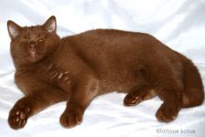 � � ��� ���� ����������. 5,5 �������!