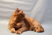 9 �������