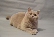 8 �������