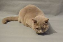 8 �������