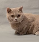 8 �������