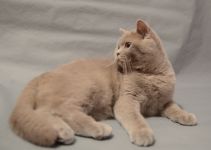 8 �������