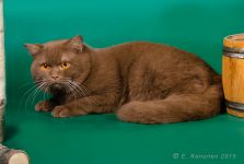 1 ��� 6 �������