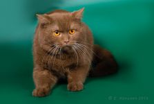 1 ��� 6 �������