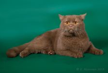 1 ��� 6 �������