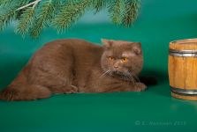 1 ��� 6 �������