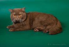 1 ��� 6 �������