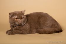 1 ��� 6 �������